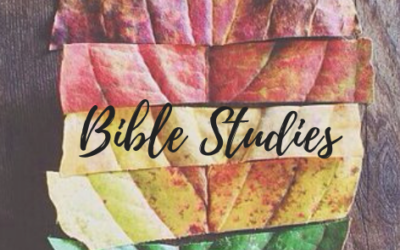 Seeking Transformation Bible Studies